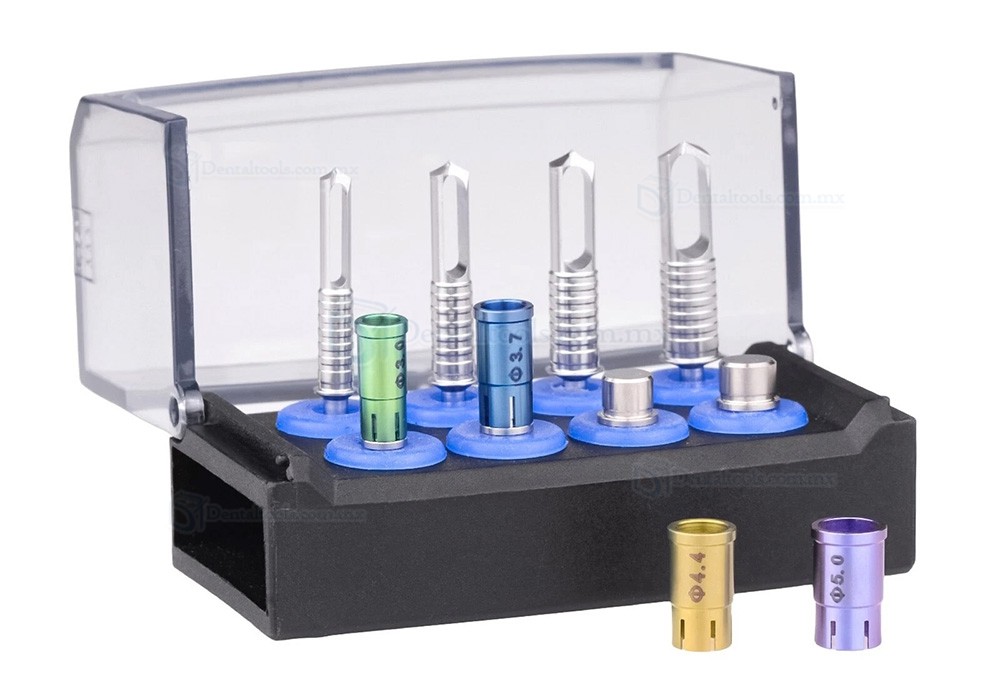 Kit de Recolector de Fresa &Oacute;sea + Set de Trefinas para Corte